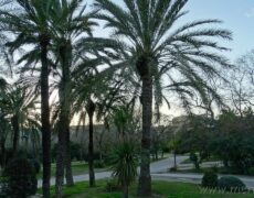 Descubre los mejores rincones para disfrutar del botellón en el río Turia en Valencia