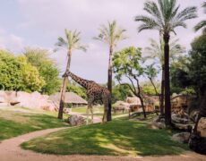 Descubre la belleza turística de la Plaza del Dr. López Trigo en tu viaje a Valencia
