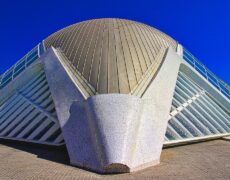 Descubre el encanto del turismo en Valencia: Disfruta de la Plaza del Mercado