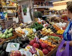 Descubre el encanto del turismo en Valencia: Ir de compras en el Mercado Central