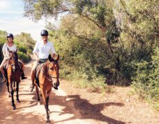 Turismo ecuestre en Valencia: Descubre las mejores rutas a caballo por la naturaleza valenciana