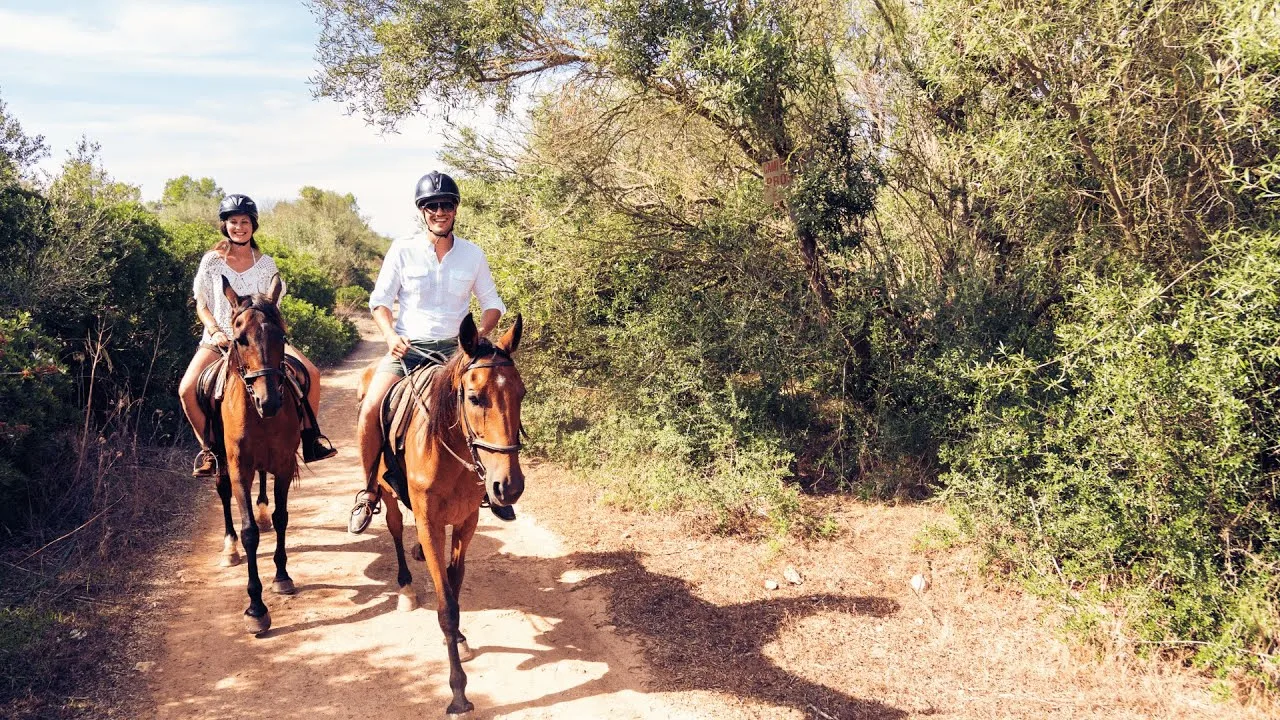 Turismo ecuestre en Valencia: Descubre las mejores rutas a caballo por la naturaleza valenciana