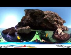 Descubre la magia del turismo en Valencia con un recorrido en kayak por su costa