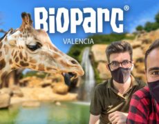 Descubre la fascinante fauna del Bioparc Valencia: una experiencia imprescindible en tu viaje turístico