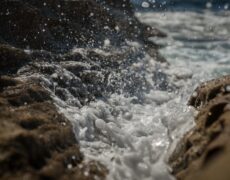 Descubre el Tribunal de las Aguas: una joya tradicional del turismo de riego